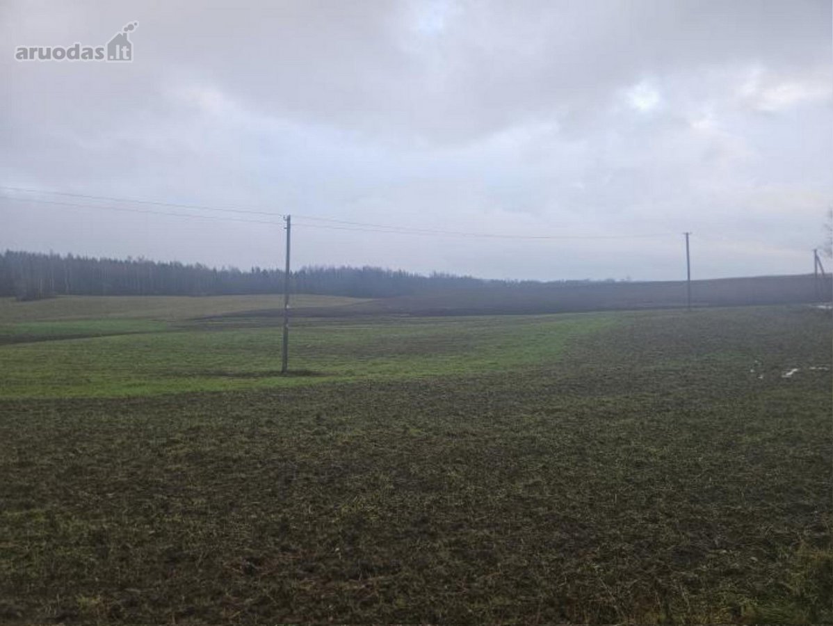 Parduodamas žemės ūkio paskirties sklypas - nuotraukos Nr. 3