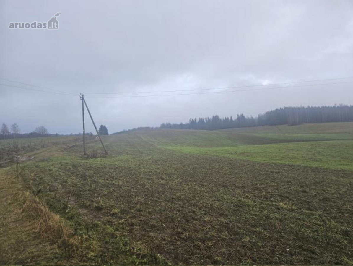 Parduodamas žemės ūkio paskirties sklypas - nuotraukos Nr. 5