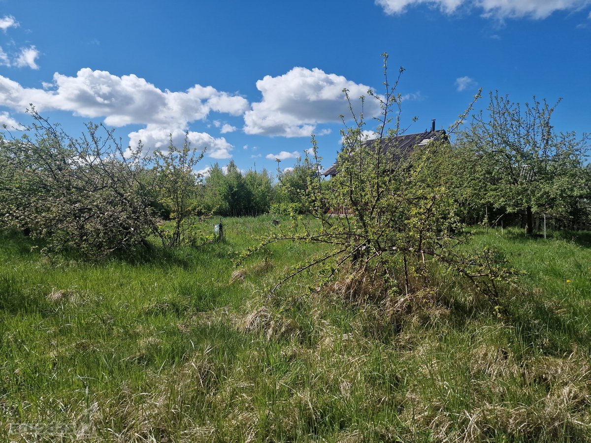 Parduodamas 12 a. žemės sklypas Vaitelių km. - nuotraukos Nr. 3