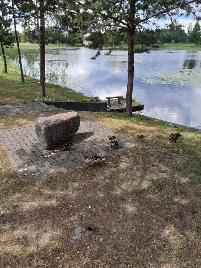 Parduodamas tvarkingas sodo namas,startų sodų - nuotraukos Nr. 28