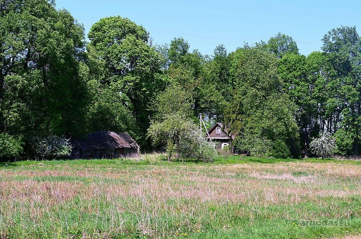 Parduodama sodyba Sodeliškių g.1. Su pečiumi