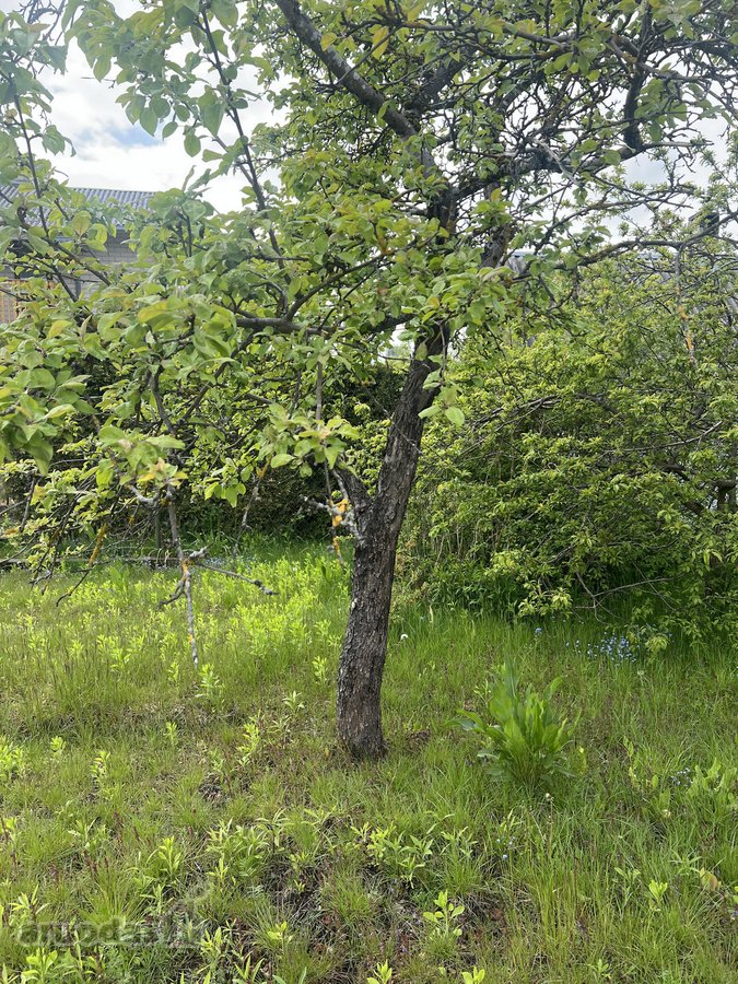 Įsikurk savo ateities kampelį - nuotraukos Nr. 16