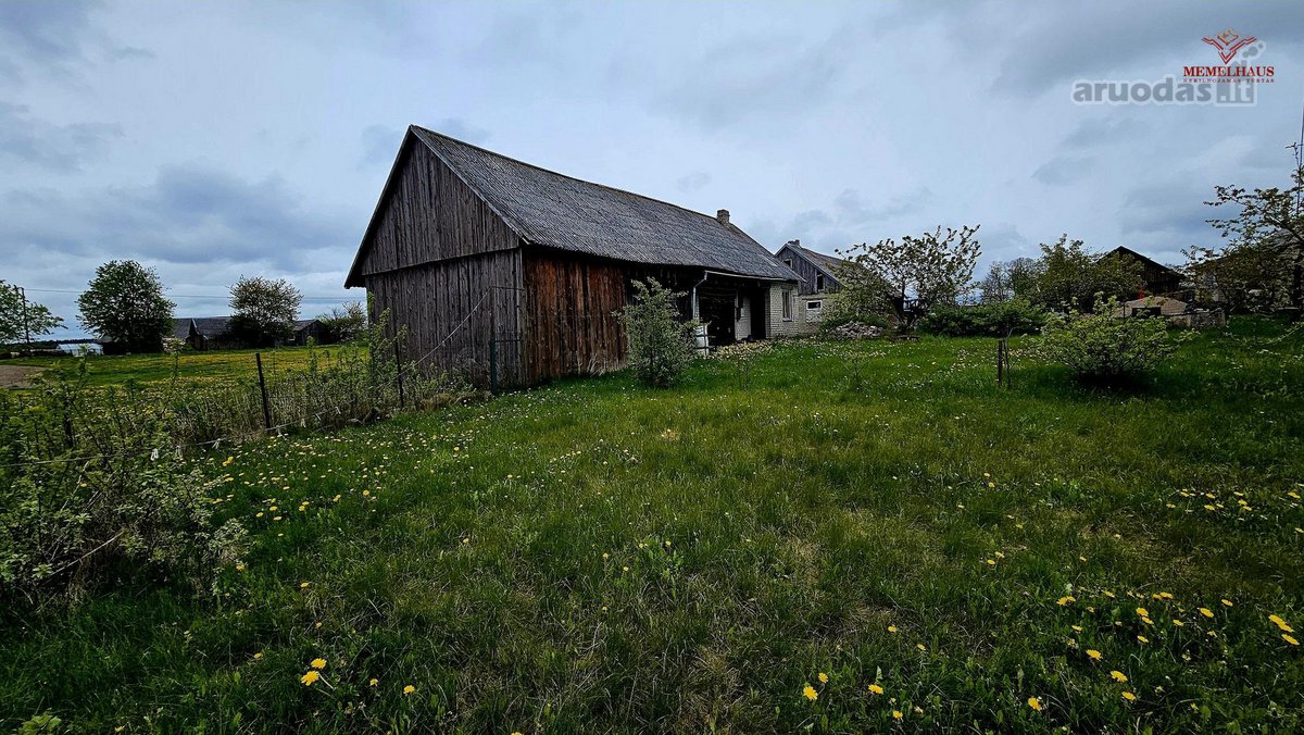 ? Jaukumo Ir Ramybės Oazė Žemaitijoje – - nuotraukos Nr. 12