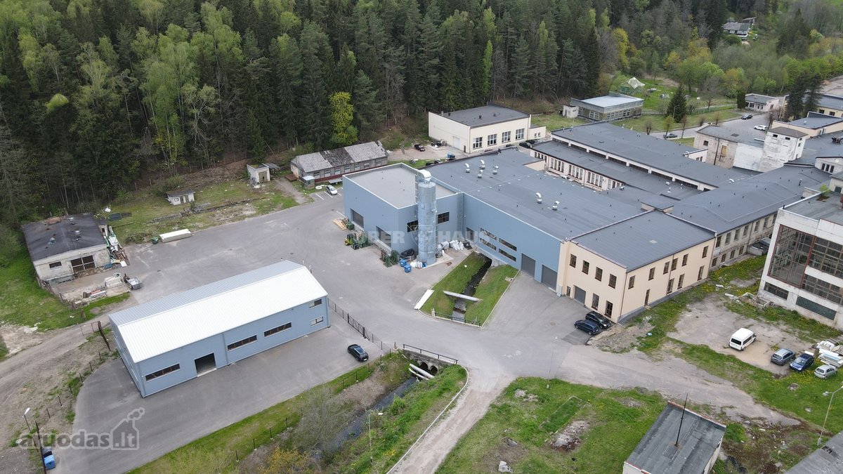 Išnuomojamos 800 m² komercinės patalpos - nuotraukos Nr. 7