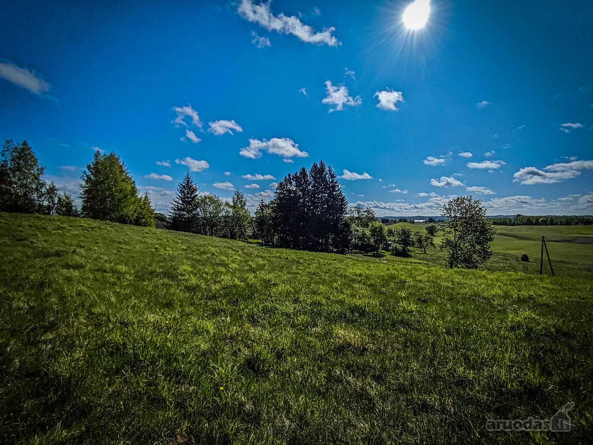 Šalia Trijų Ežerų Parduodamas 4,9ha Sklypas. - nuotraukos Nr. 6