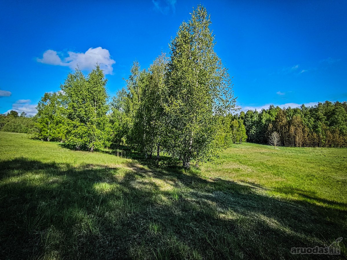 Šalia Trijų Ežerų Parduodamas 4,9ha Sklypas. - nuotraukos Nr. 11