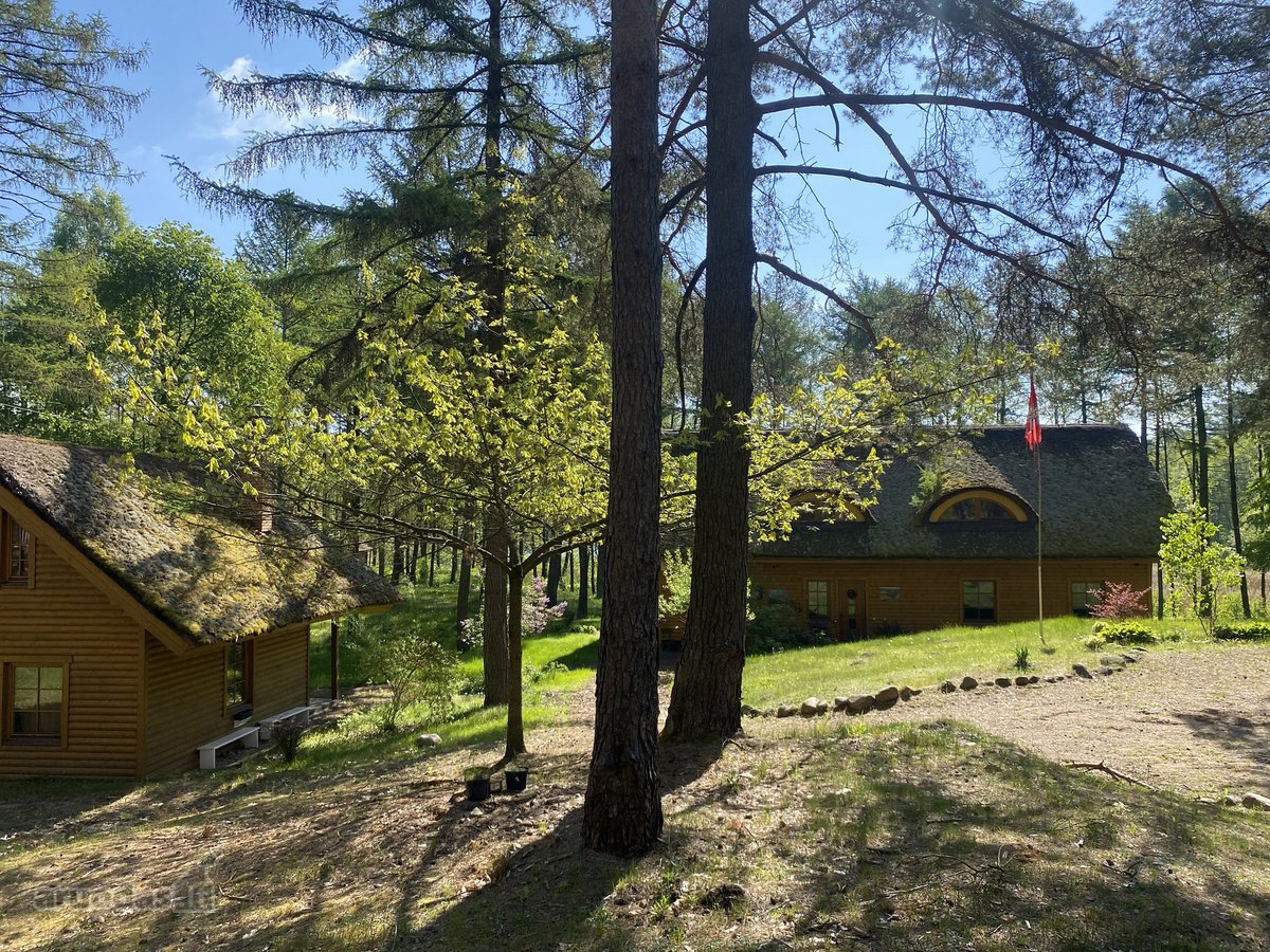 Parduodama sodyba su 1 ha namu valda,yra - nuotraukos Nr. 4