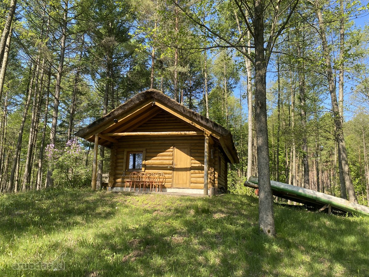 Parduodama sodyba su 1 ha namu valda,yra - nuotraukos Nr. 12