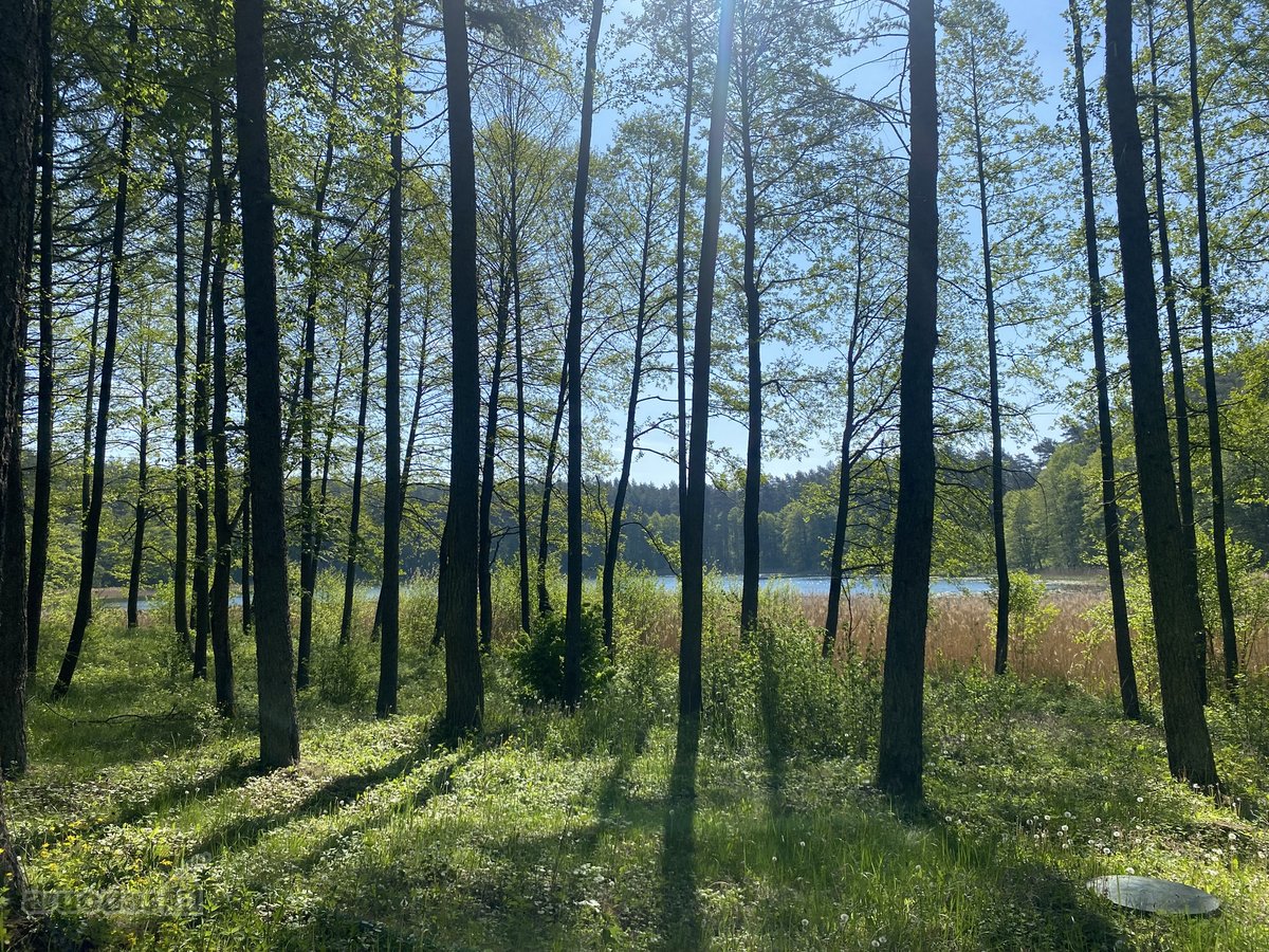 Parduodama sodyba su 1 ha namu valda,yra - nuotraukos Nr. 13