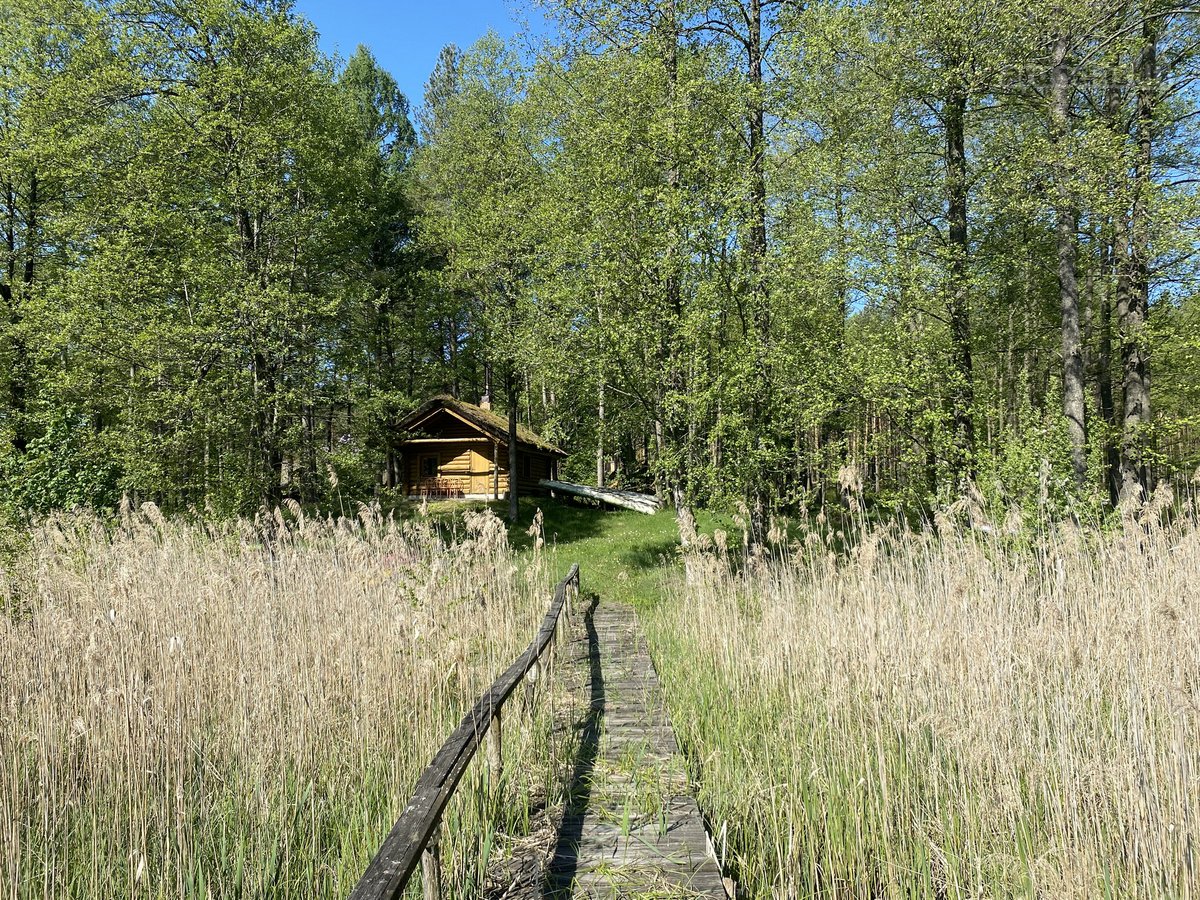 Parduodama sodyba su 1 ha namu valda,yra - nuotraukos Nr. 17
