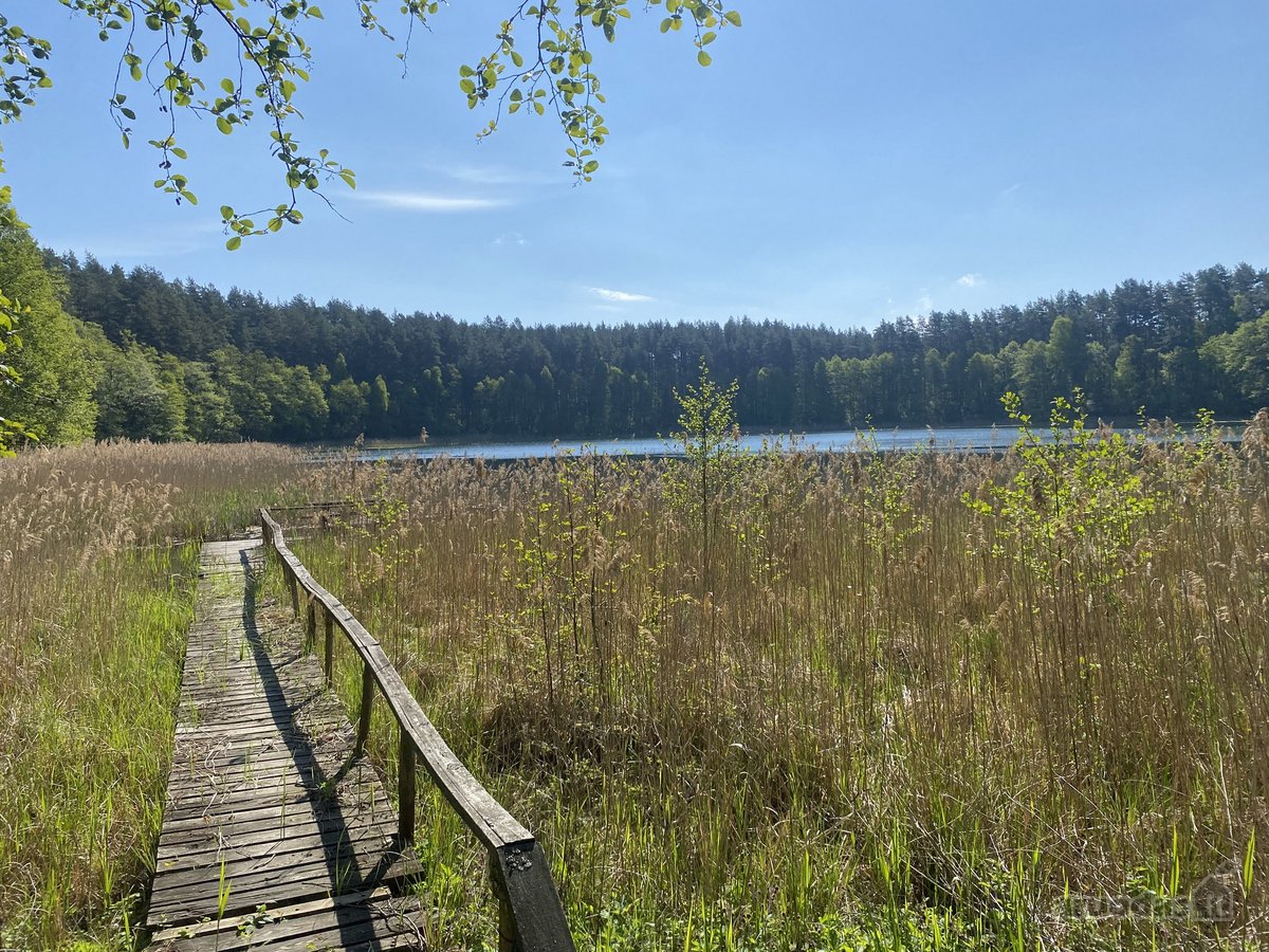 Parduodama sodyba su 1 ha namu valda,yra - nuotraukos Nr. 18
