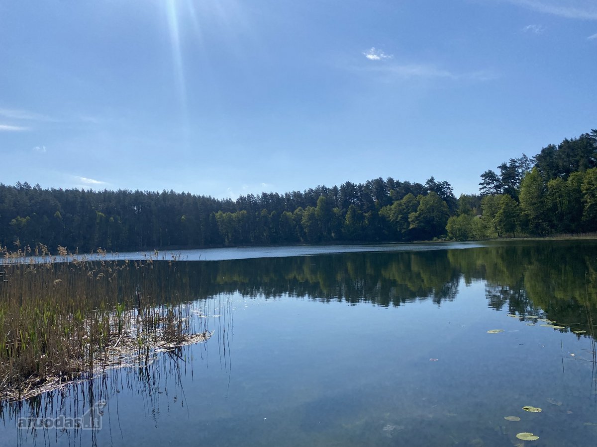 Parduodama sodyba su 1 ha namu valda,yra - nuotraukos Nr. 19