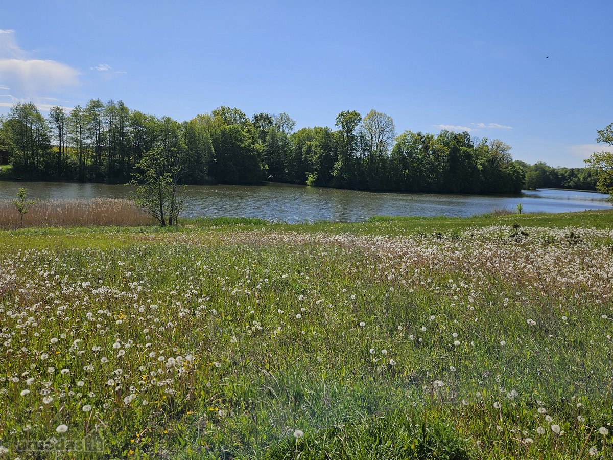 Parduodamas išskirtinis sklypas, kuris - nuotraukos Nr. 5