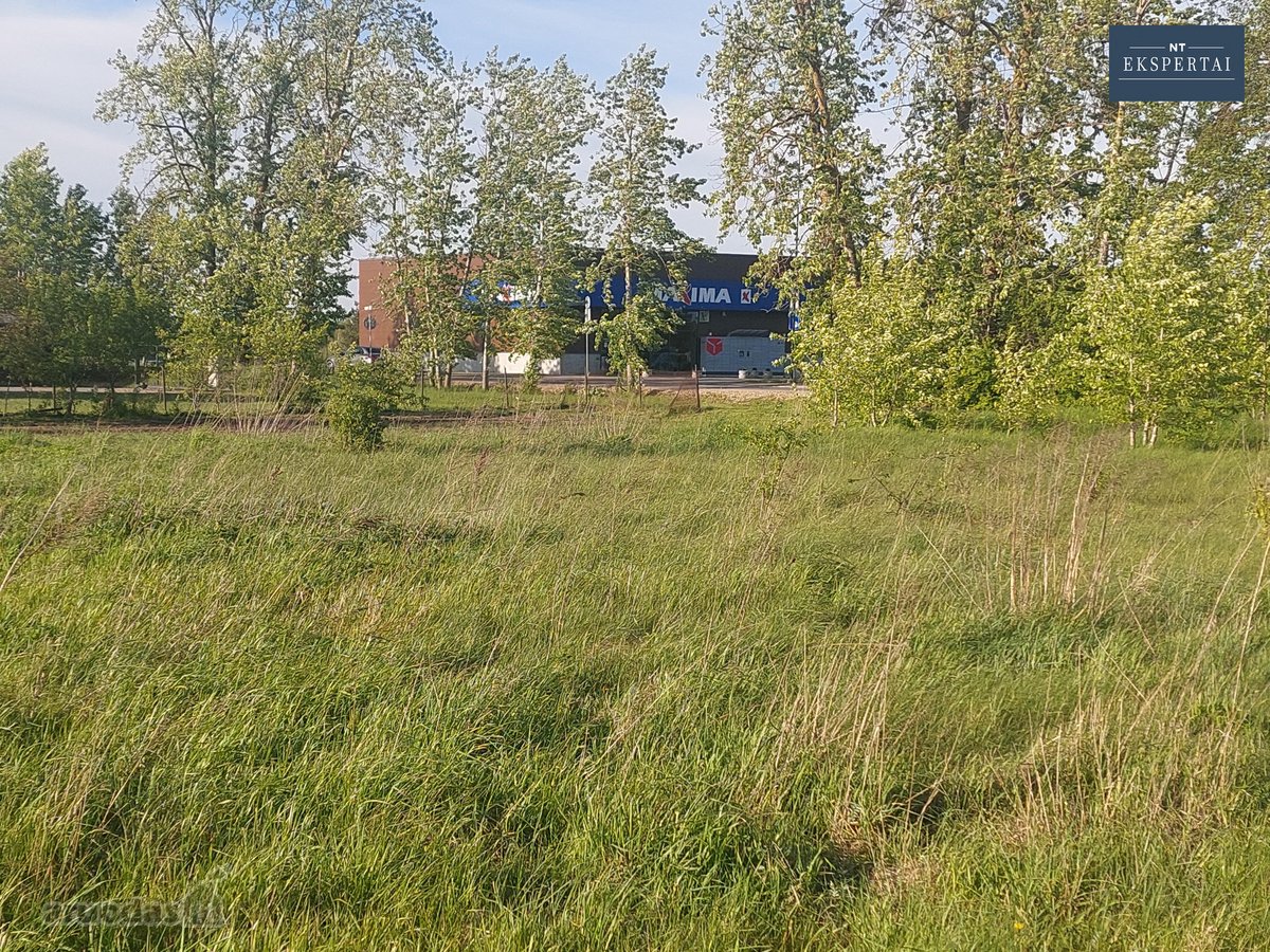 Vilniuje,balsiuose,žaliųjų Ežerų gatvėje - nuotraukos Nr. 7