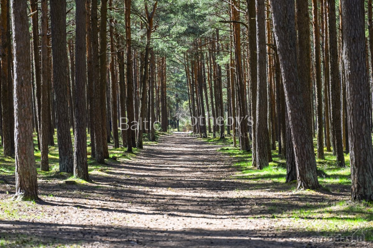 Įsikūręs išskirtinėje Palangos vietoje, kur - nuotraukos Nr. 10