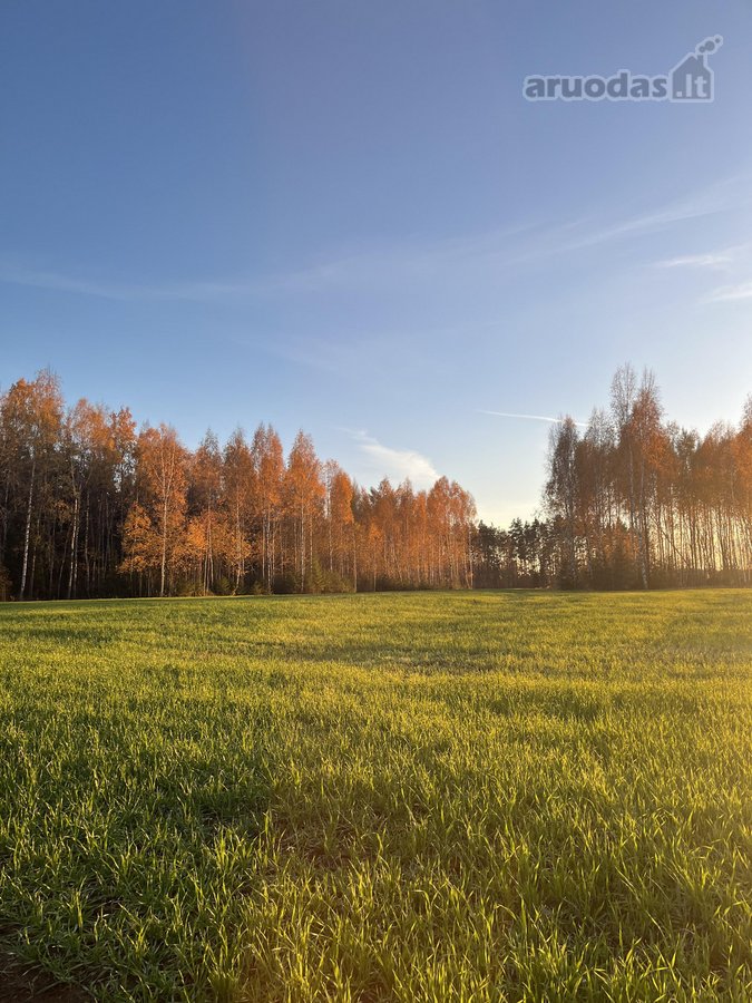 Parduodamas 10.80 ha žemės sklypai Bartkuškio - nuotraukos Nr. 2