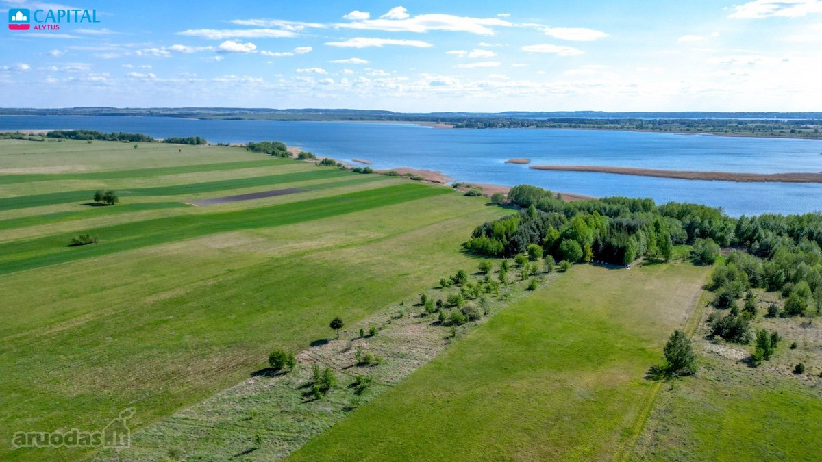 Investicinis Projektas Prie Trijų Dzūkijos Ežerų - nuotraukos Nr. 7