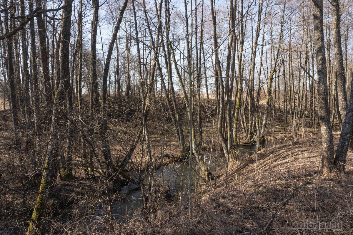 Retas pasiūlymas – 55 arų sklypas prie - nuotraukos Nr. 16