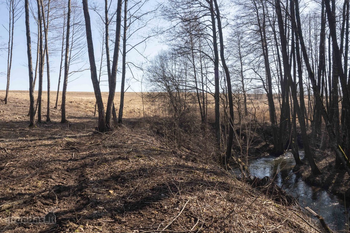 Retas pasiūlymas – 55 arų sklypas prie - nuotraukos Nr. 6