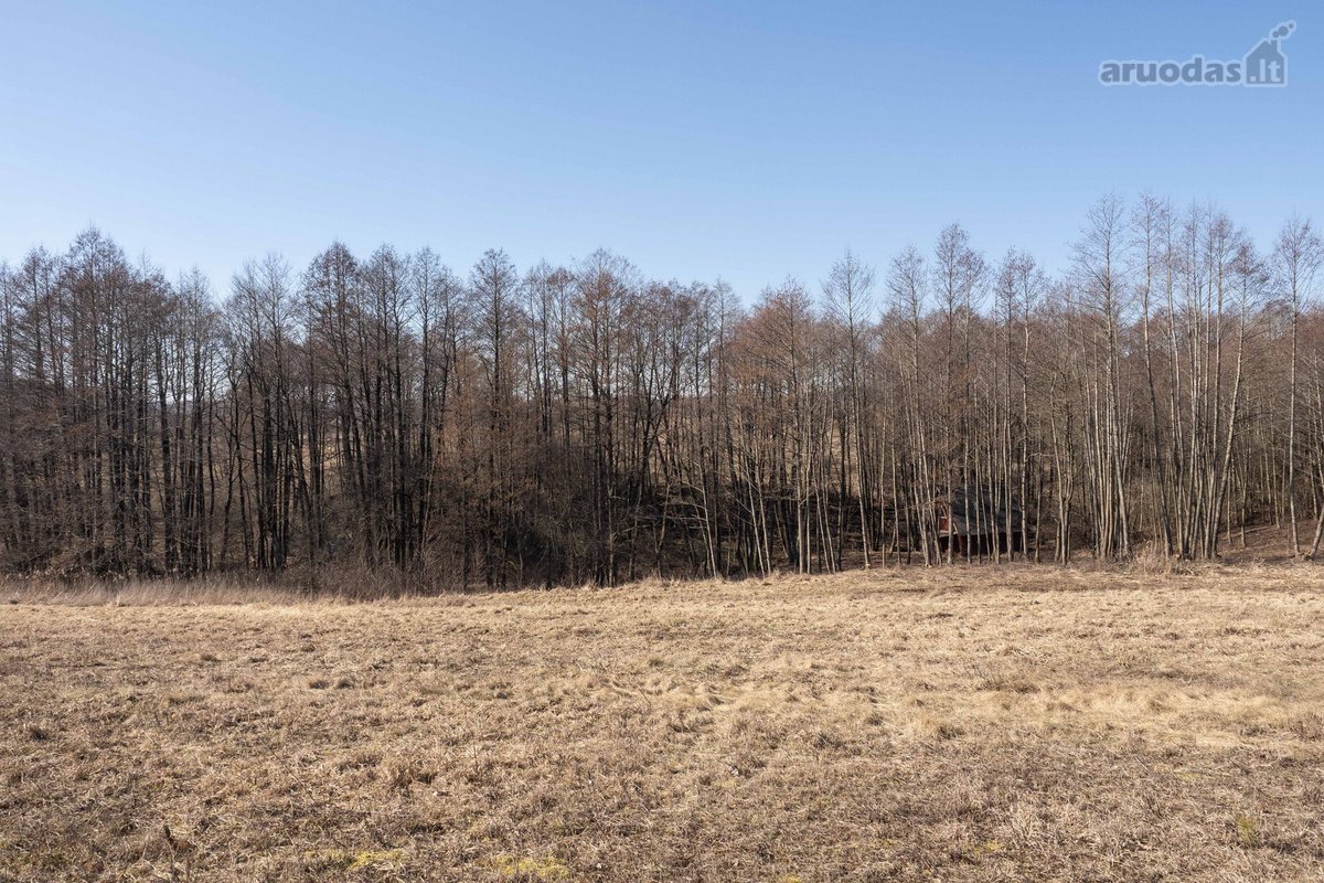 Retas pasiūlymas – 55 arų sklypas prie - nuotraukos Nr. 18