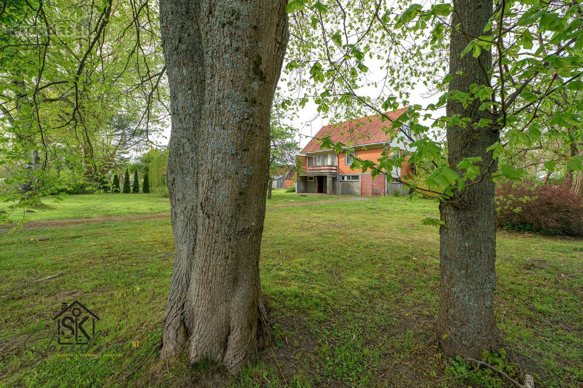 Erdvus Namas Su 16.5 A Žemės Sklypu, Sodu Ir - nuotraukos Nr. 4