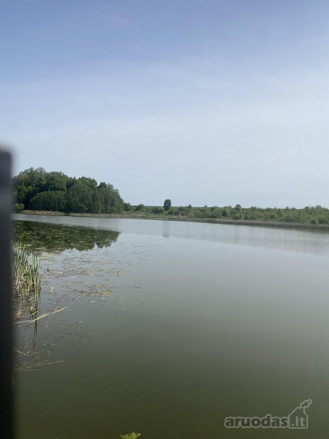 Ramioje Vietoje, Kaimo pakraštyje, Šalia