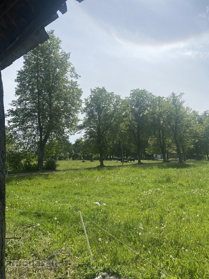 Ramioje Vietoje, Kaimo pakraštyje, Šalia - nuotraukos Nr. 10