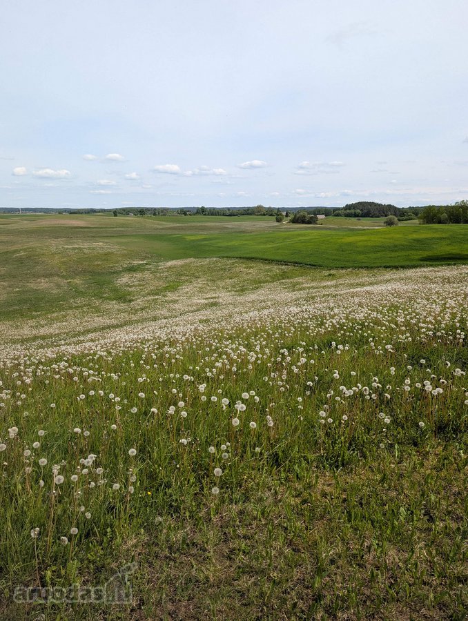 Lazdijų rajone, Paliūnų kaime, Beržų g.20 ir - nuotraukos Nr. 33