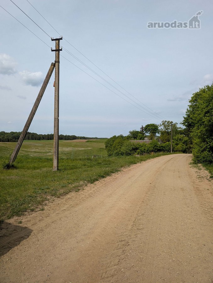 Lazdijų rajone, Paliūnų kaime, Beržų g.20 ir - nuotraukos Nr. 28