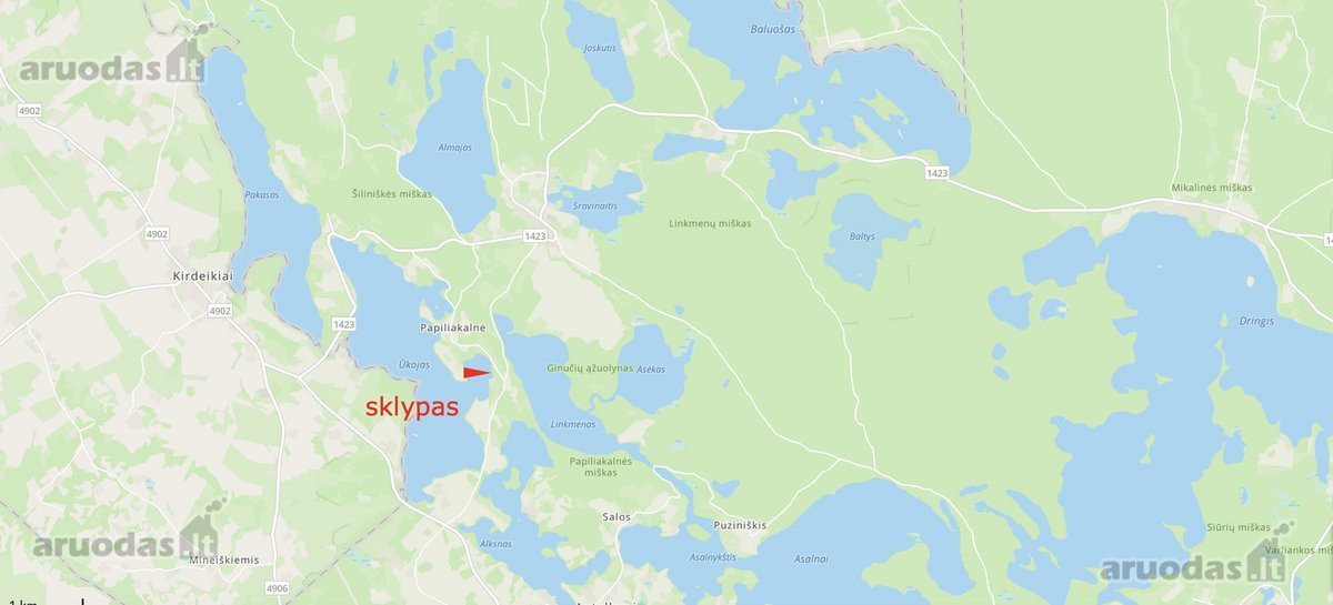Sodybviete 1,60 ha su 200m smeletos ežero - nuotraukos Nr. 5