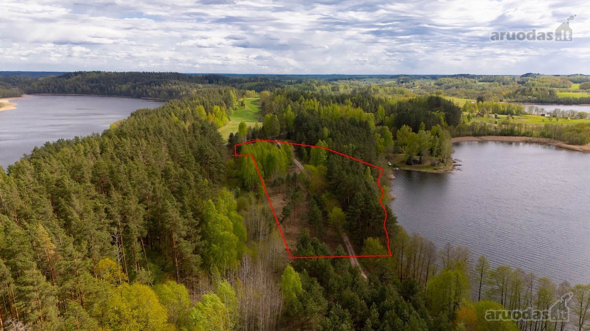 Sodybviete 1,60 ha su 200m smeletos ežero - nuotraukos Nr. 13