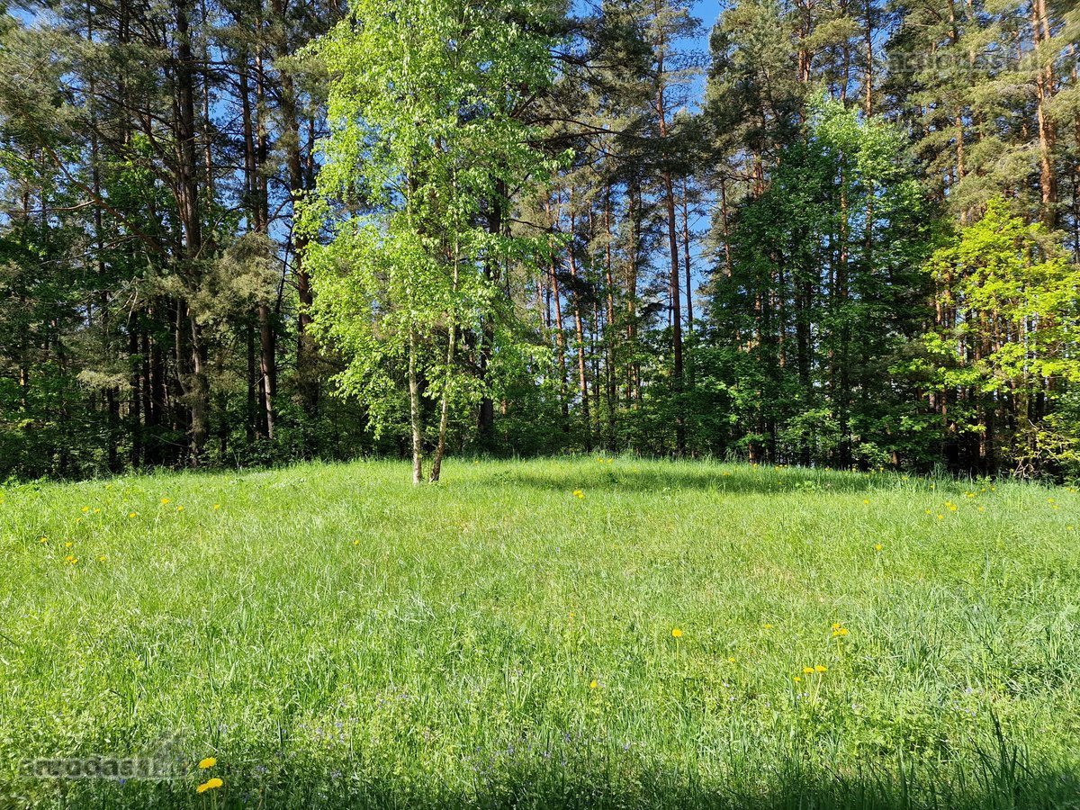 Sodybviete 1,60 ha su 200m smeletos ežero - nuotraukos Nr. 15