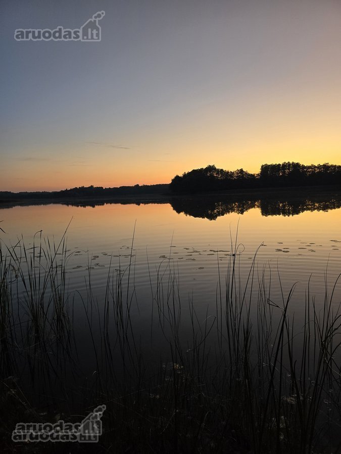 Sodybviete 1,60 ha su 200m smeletos ežero - nuotraukos Nr. 16