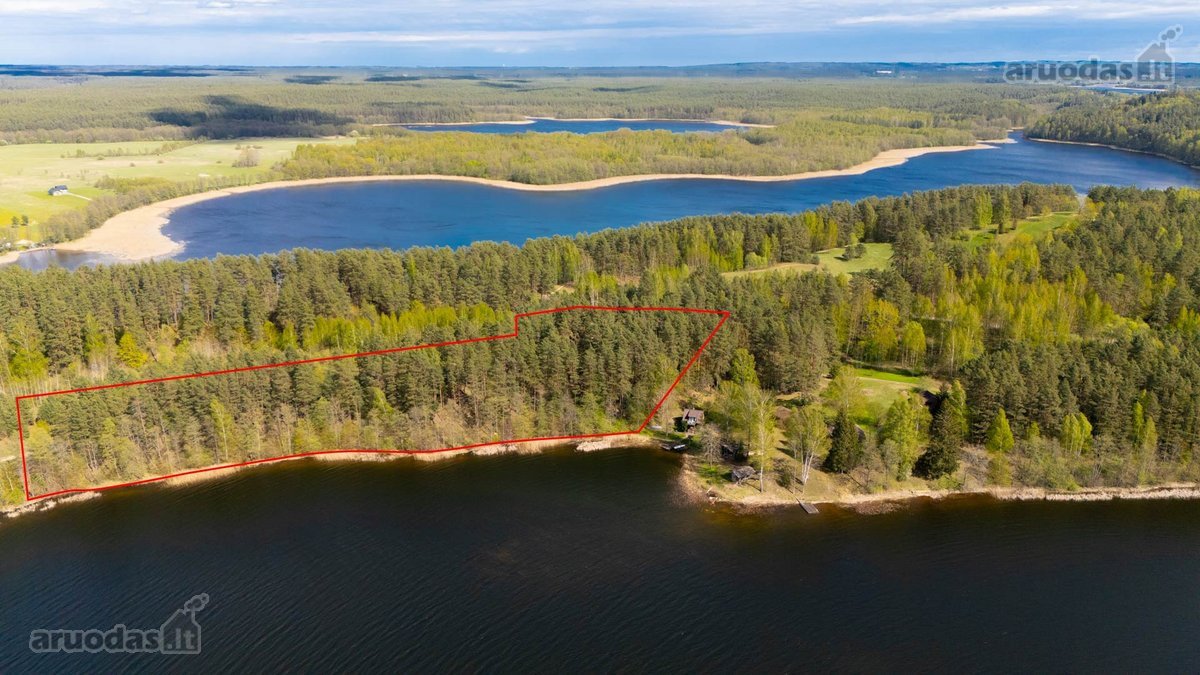 Sodybviete 1,60 ha su 200m smeletos ežero - nuotraukos Nr. 17