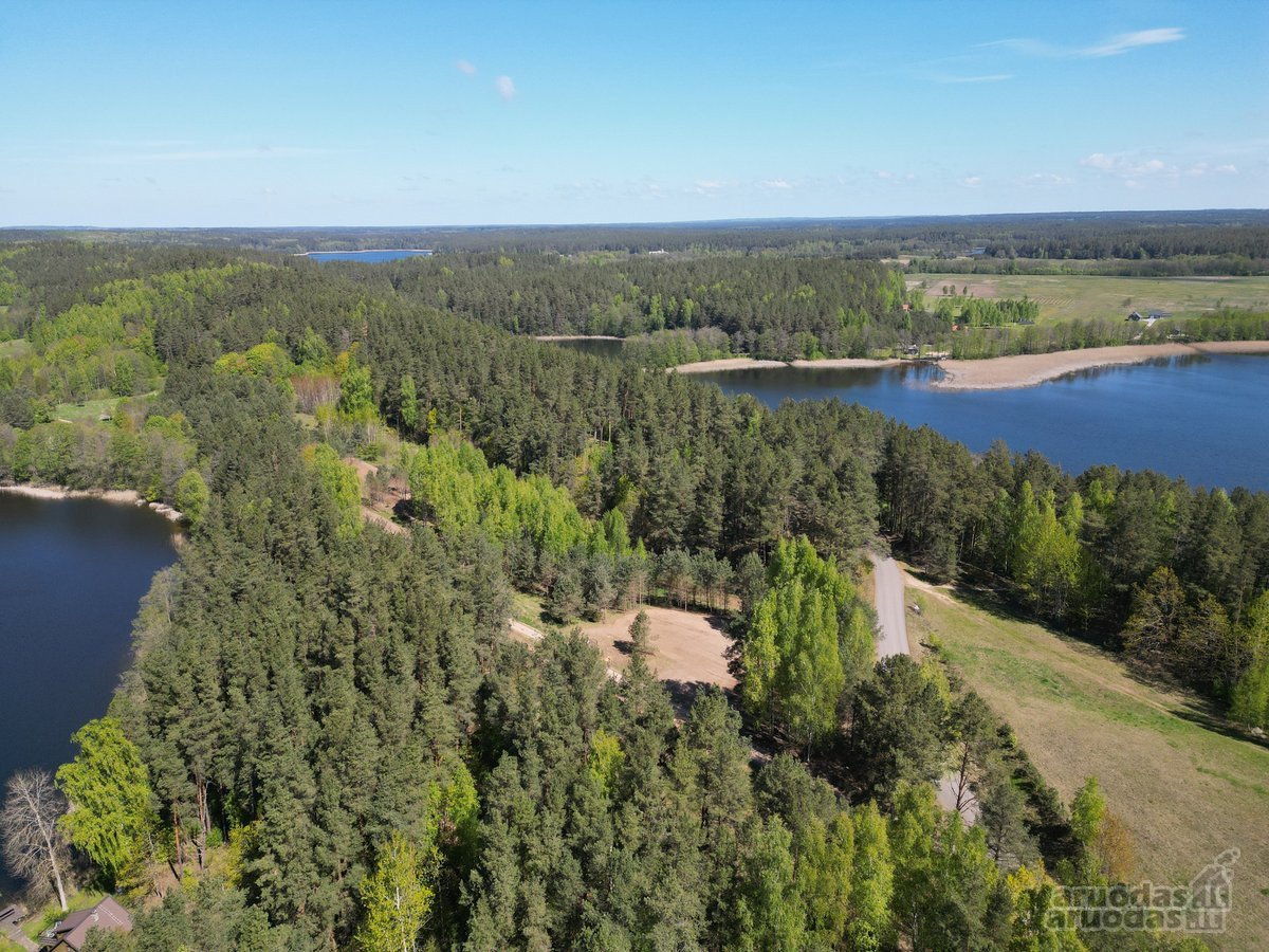 Sodybviete 1,60 ha su 200m smeletos ežero - nuotraukos Nr. 20