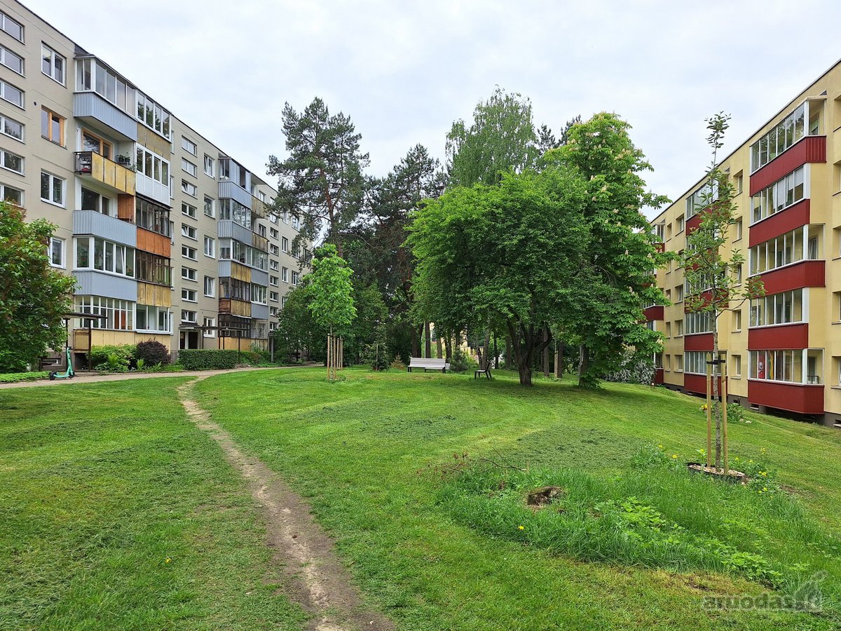 Objekto nuotrauka