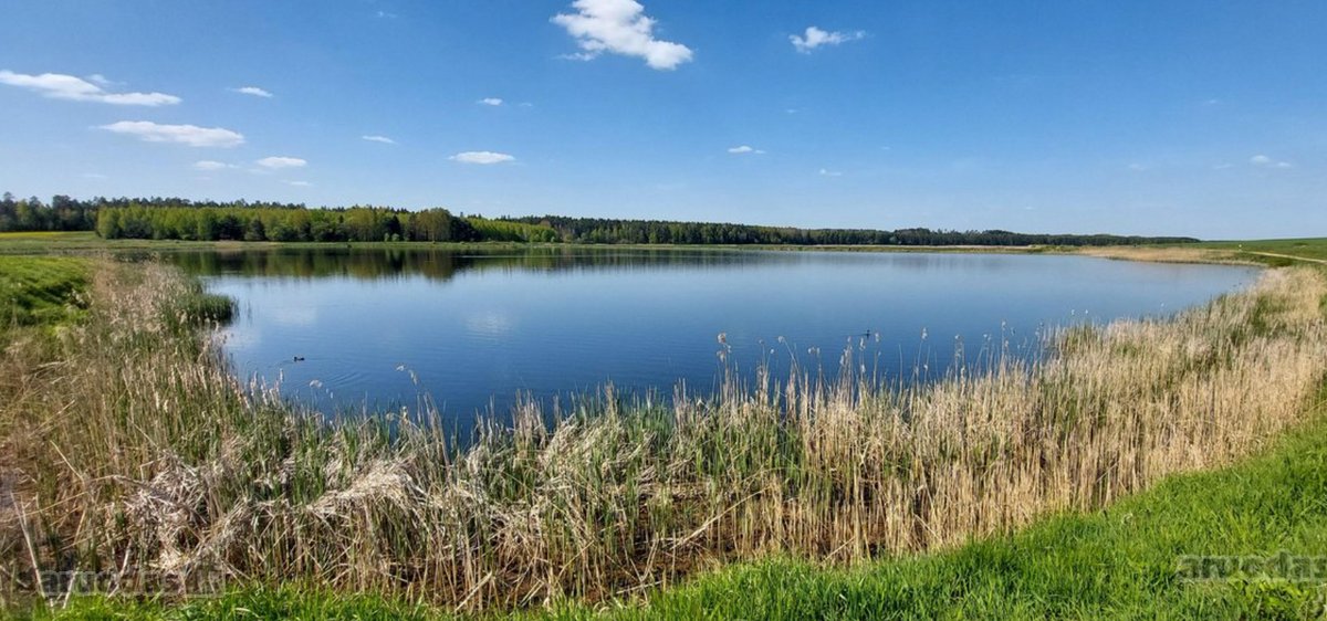 Parduodamas Namas Tribonių k., Ramioji g. - nuotraukos Nr. 7