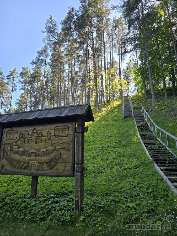 Sodybviete 1,60 ha su 200m smeletos ežero - nuotraukos Nr. 8