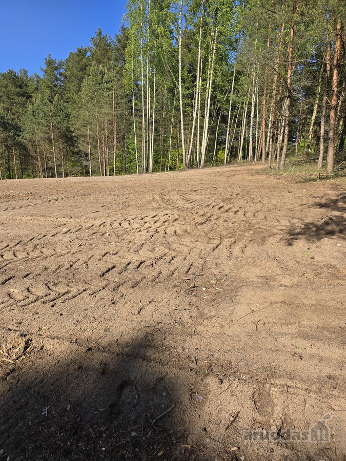 Sodybviete 1,60 ha su 200m smeletos ežero - nuotraukos Nr. 29