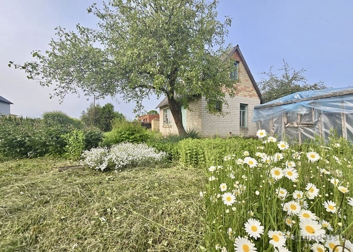Joniškyje, Garso take, parduodamas sodo