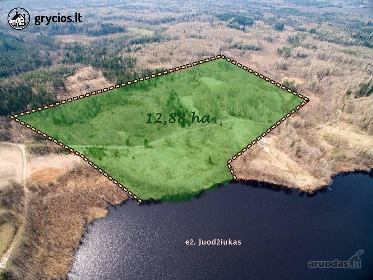 Parduodamas 12,88 ha (6,87 ha miškas) sklypas