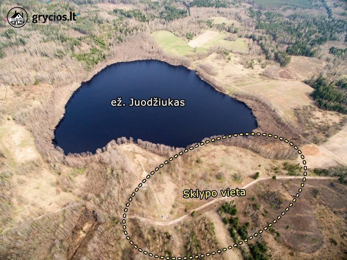 Parduodamas 12,88 ha (6,87 ha miškas) sklypas - nuotraukos Nr. 3