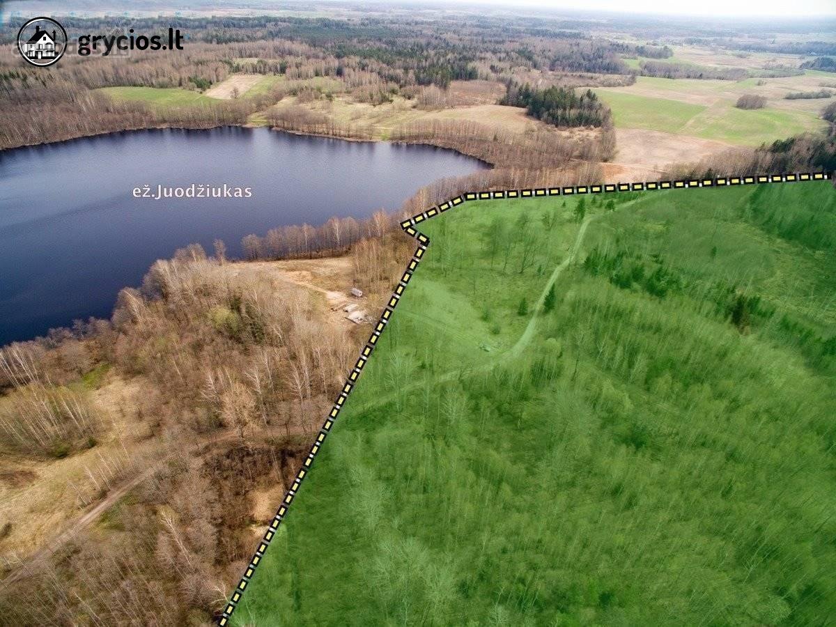 Parduodamas 12,88 ha (6,87 ha miškas) sklypas - nuotraukos Nr. 8