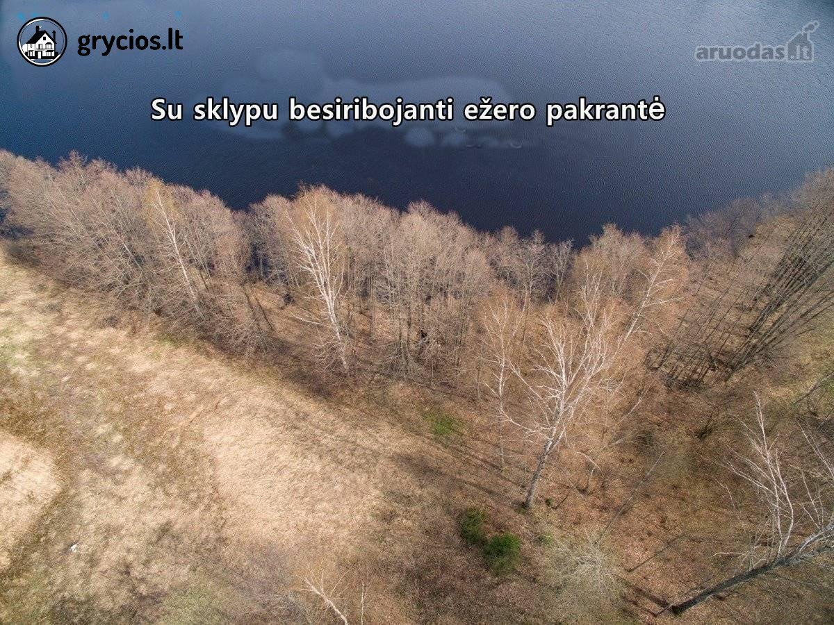 Parduodamas 12,88 ha (6,87 ha miškas) sklypas - nuotraukos Nr. 2