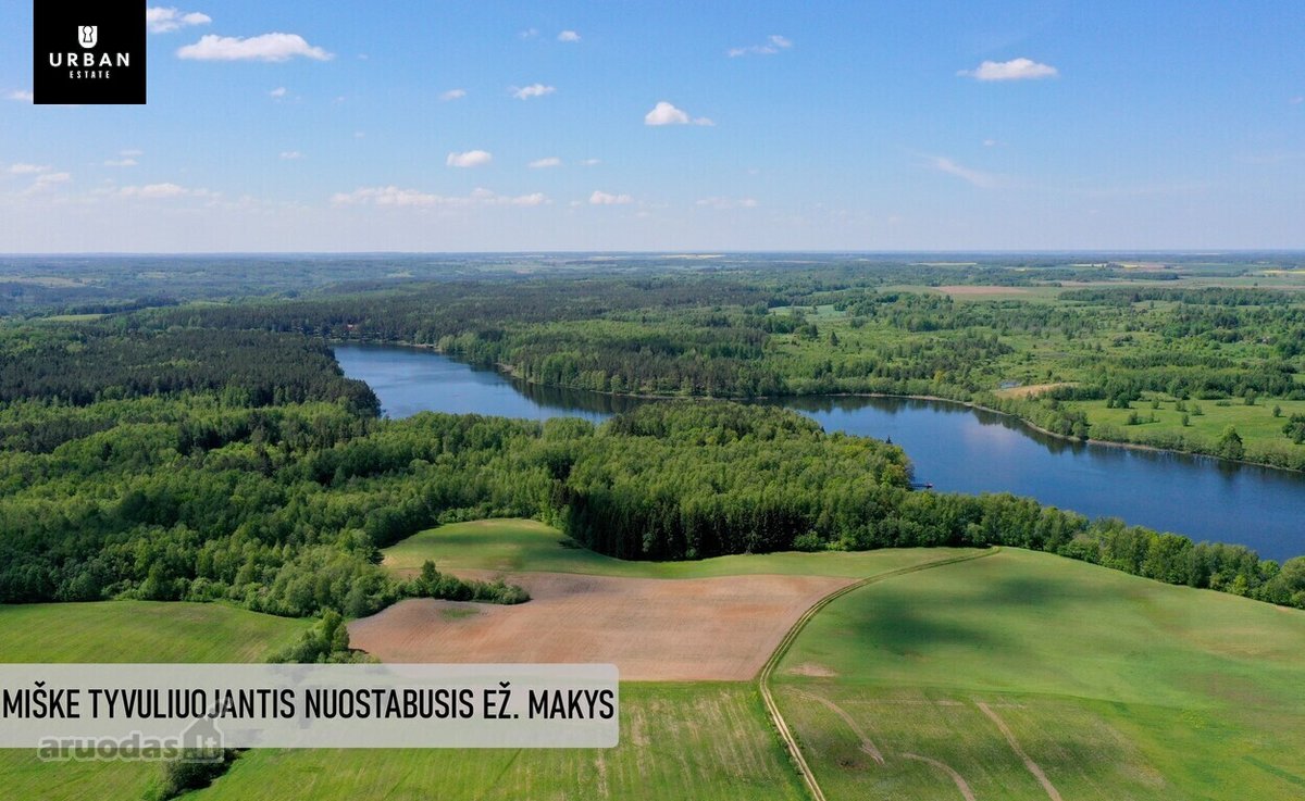 Parduodamas Žemės Sklypas Prie Vieno - nuotraukos Nr. 12