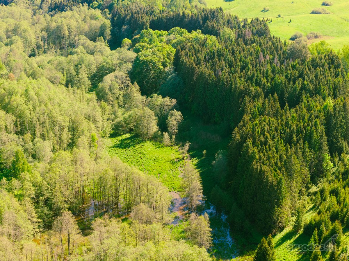 Nuomojamas vienkiemis su 1ha žemės su sodu, - nuotraukos Nr. 19