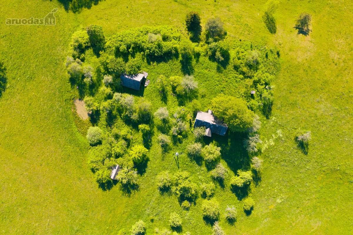 Nuomojamas vienkiemis su 1ha žemės su sodu, - nuotraukos Nr. 11