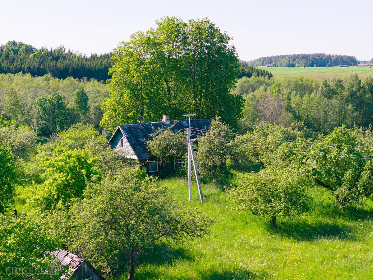 Nuomojamas vienkiemis su 1ha žemės su sodu, - nuotraukos Nr. 24