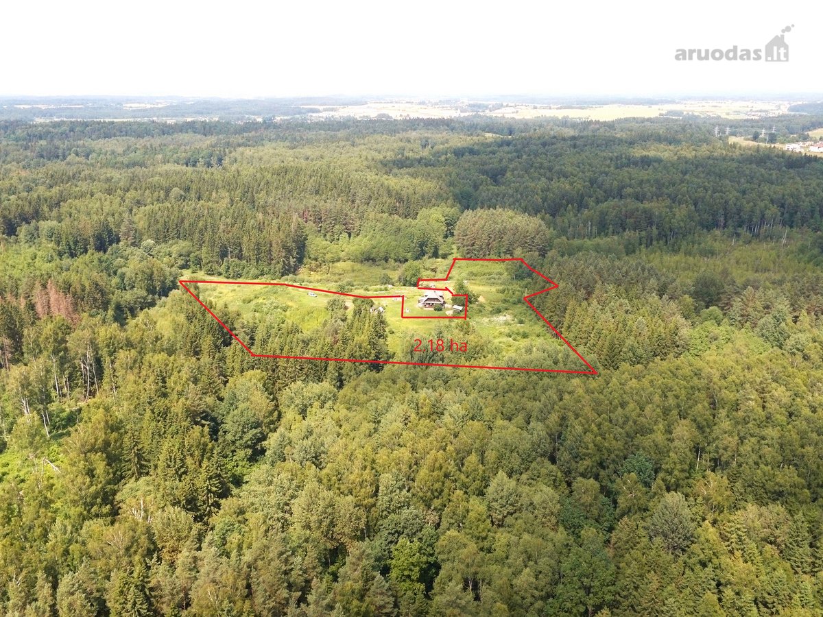Parduodama 2.13 ha. ploto žemės sklypo dalis - nuotraukos Nr. 3