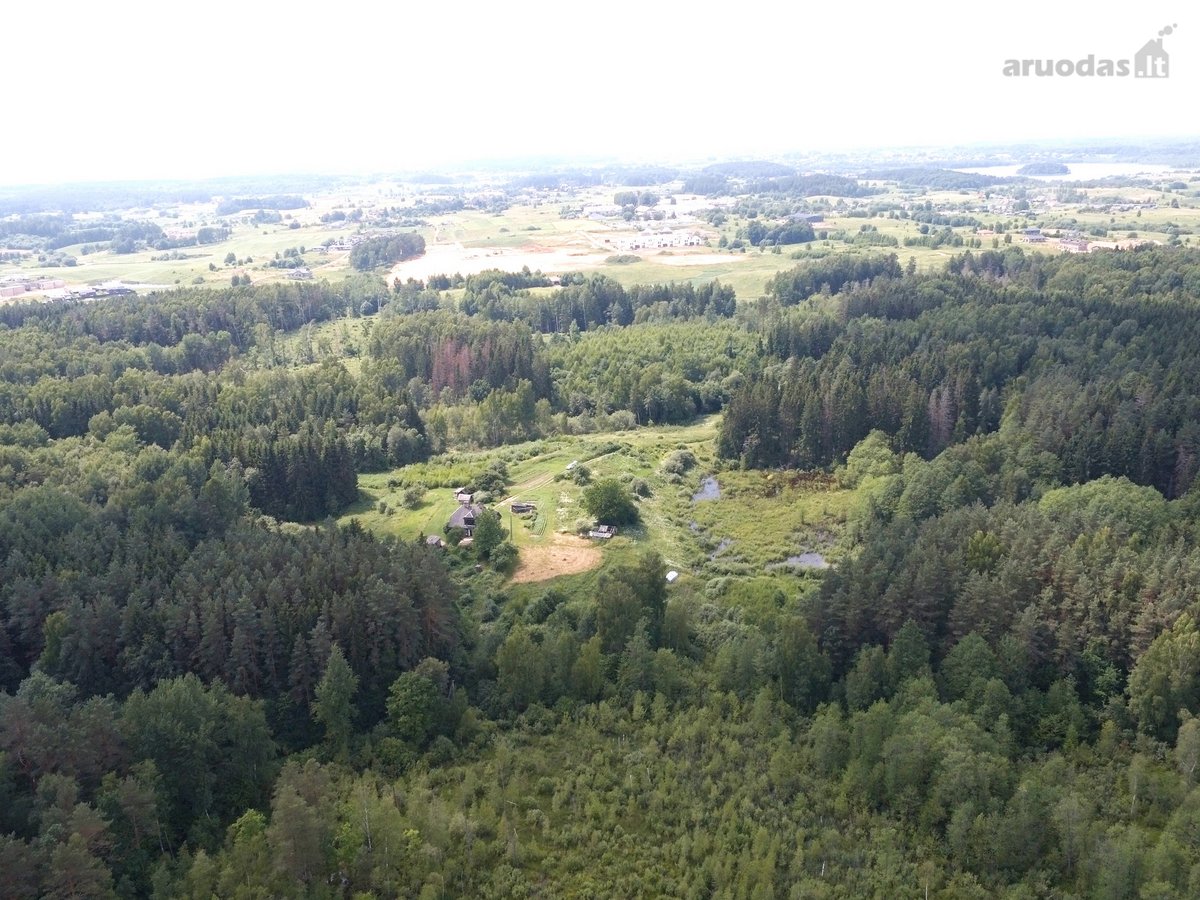Parduodama 2.13 ha. ploto žemės sklypo dalis - nuotraukos Nr. 4
